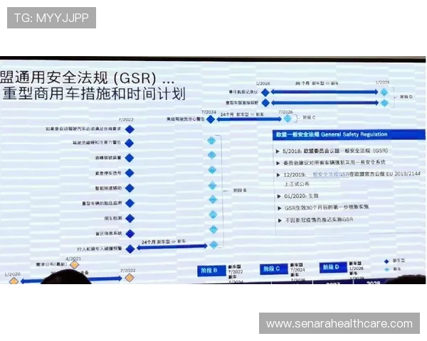 乐鱼体育网站安全可靠的投注体验与专业的体育数据分析助你赢得更多比赛机会