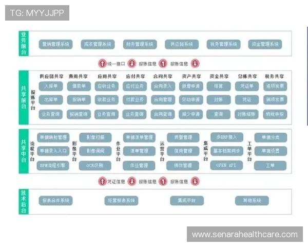 江南体育登录助力体育赛事数字化管理实现智能化运营